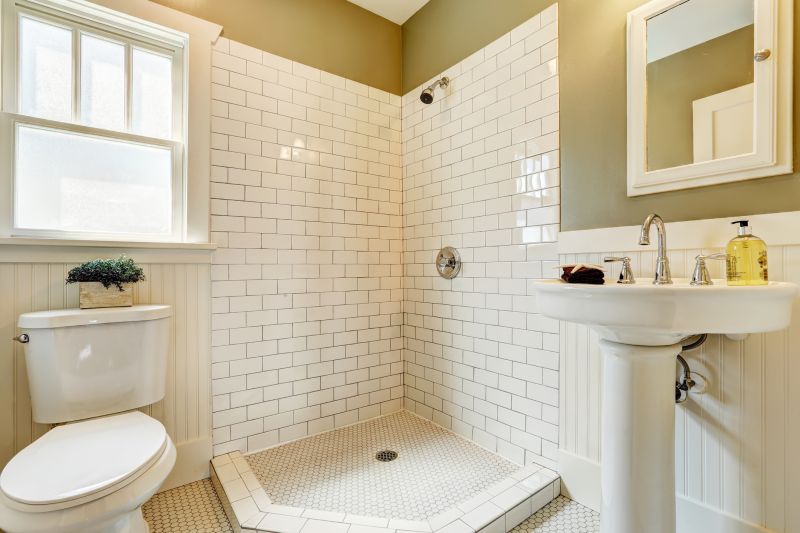 Bathroom Shower Installation in Saint Petersburg, FL