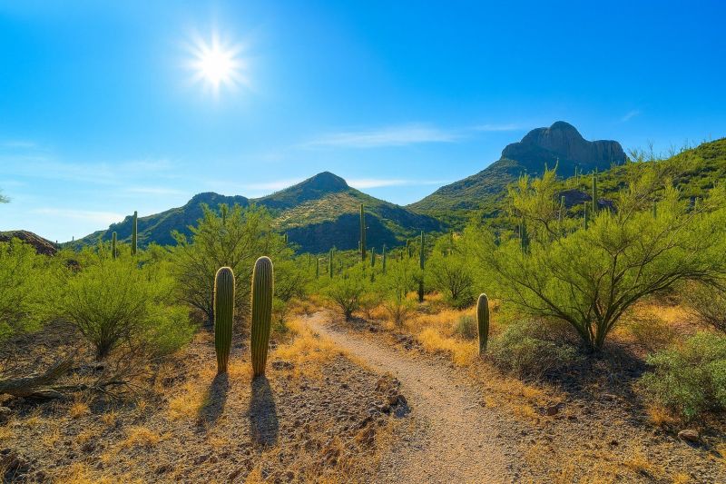 Local Disability Shower Installation in Marana, AZ
