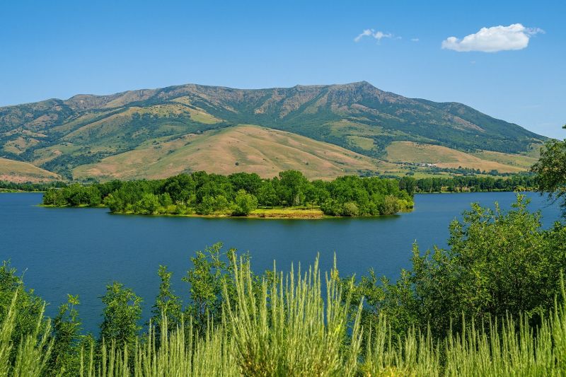 Local Disability Shower Installation in Eden, UT
