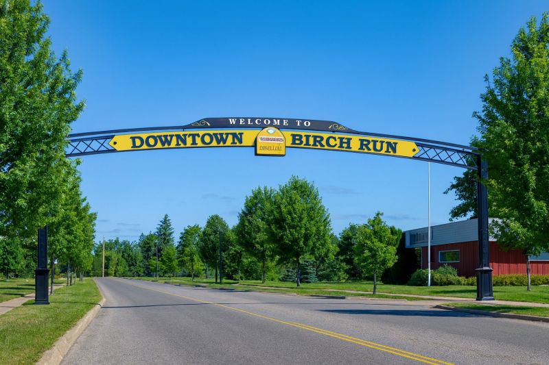 Local Disability Shower Installation in Birch Run, MI