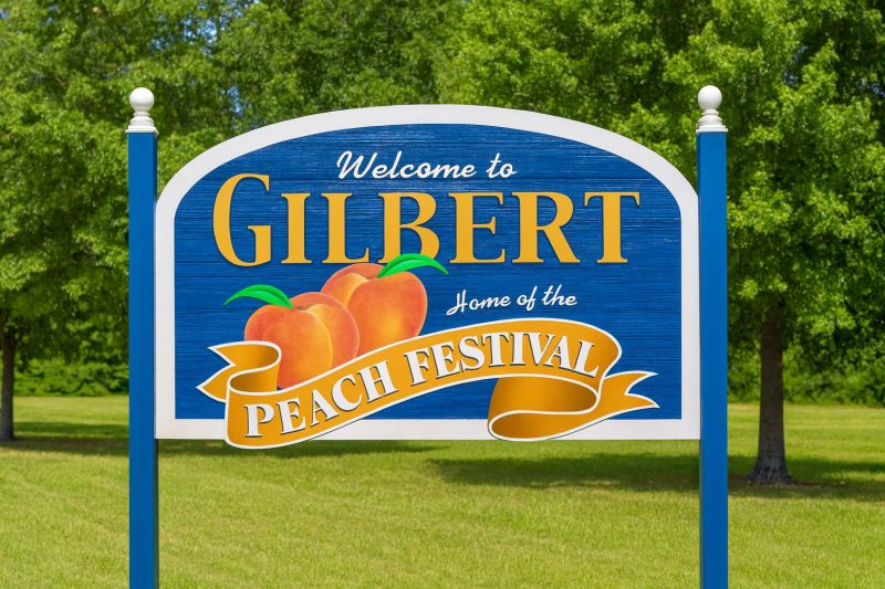 Local Disability Shower Installation in Gilbert, SC