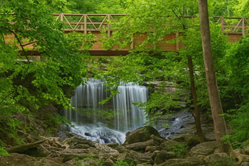 Local Disability Shower Installation in Bella Vista, AR