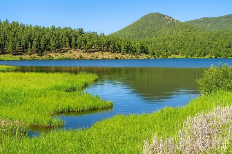 Local Elderly Shower Installation in Evergreen, CO