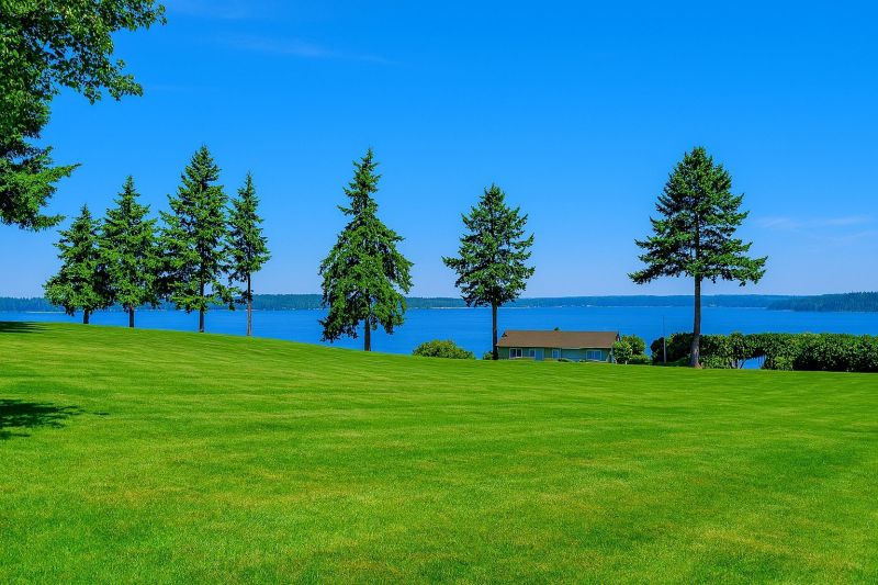Local Elderly Shower Installation in Federal Way, WA