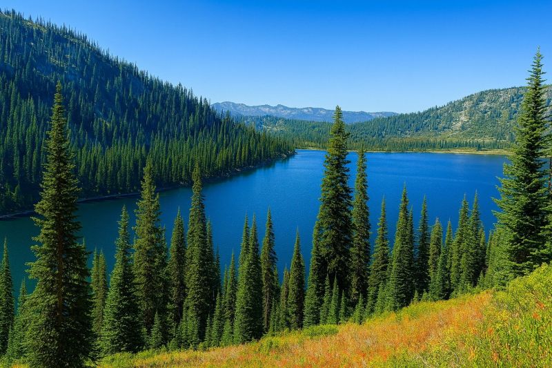 Local Elderly Shower Installation in Payette, ID