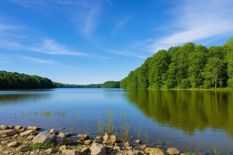 Local Senior Shower Installation in Burke, VA