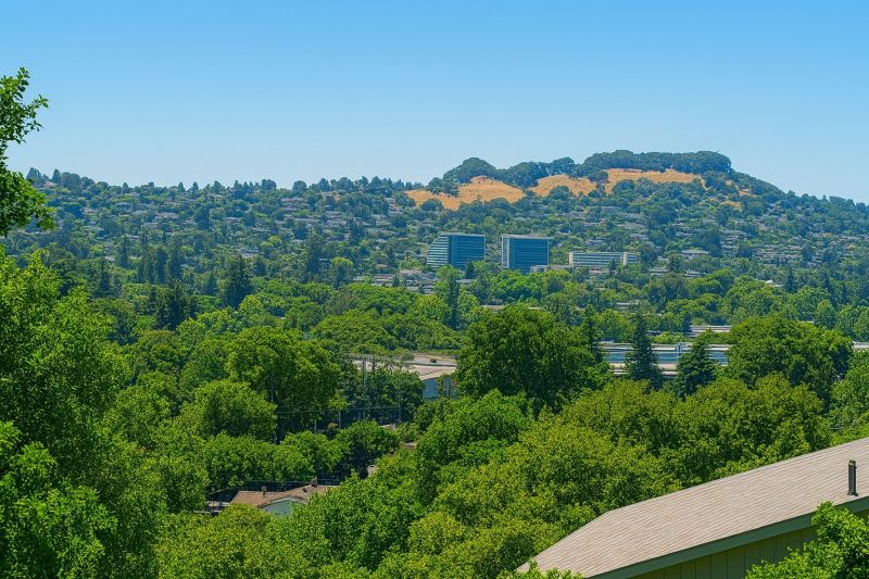 Local Senior Shower Installation in Castro Valley, CA