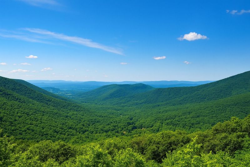 Local Senior Shower Installation in Forest, VA