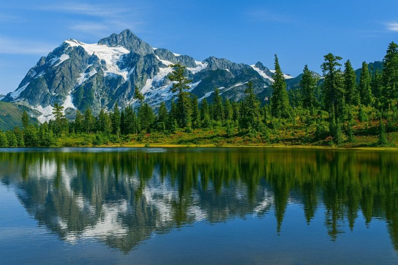 Local Senior Shower Installation in Maple Valley, WA