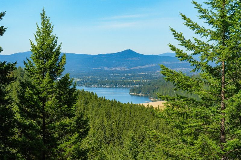 Local Shower Installation in Liberty Lake, WA