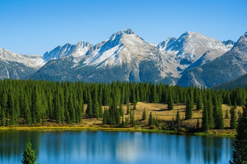 Local Shower Installation in Lafayette, CO