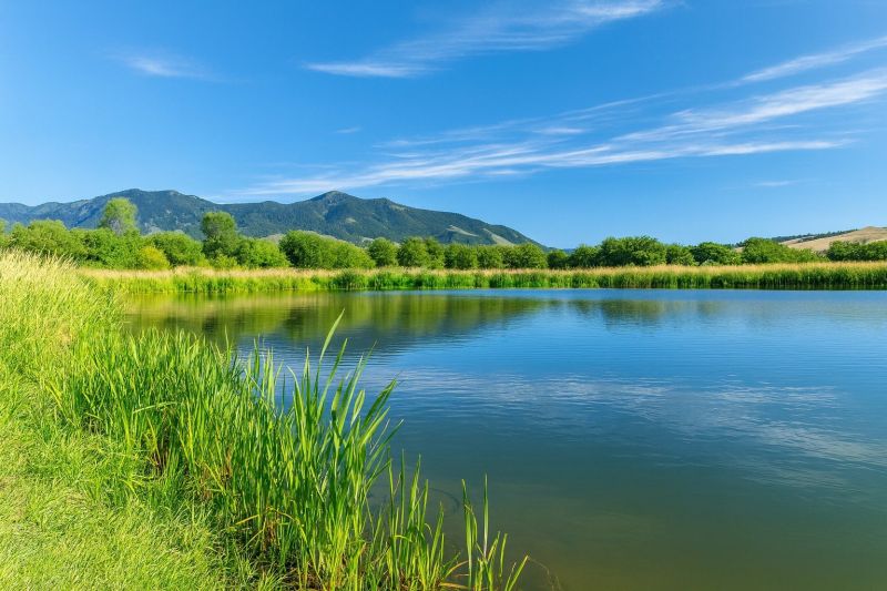 Local Shower Installation in Belgrade, MT