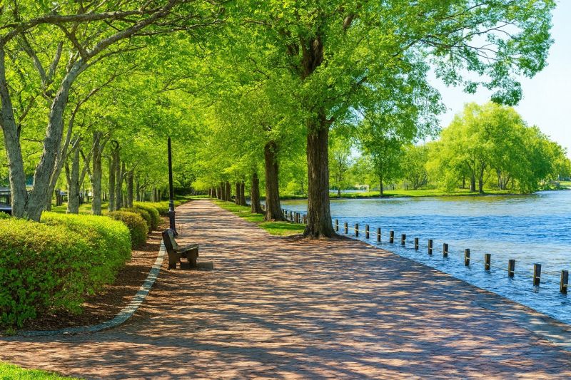 Local Shower Installation in Locust Grove, VA