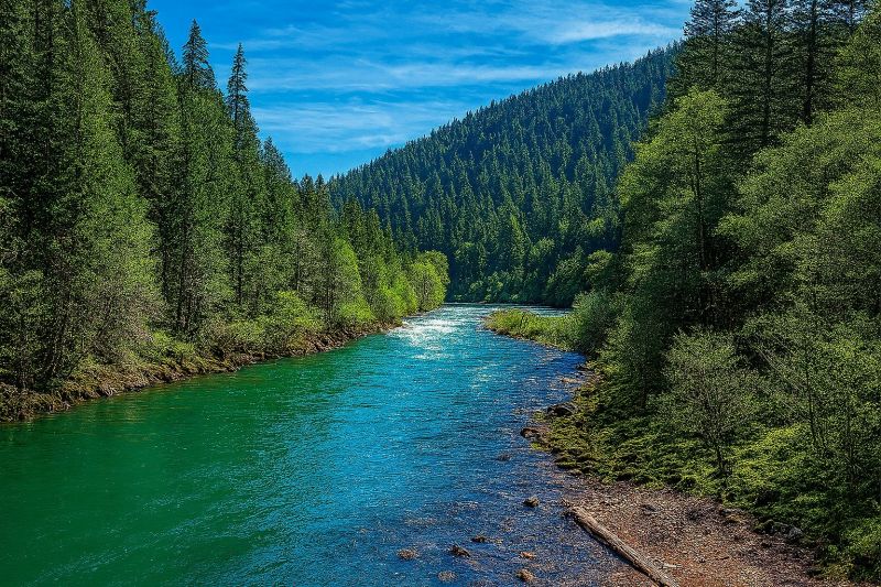 Local Shower Installation in Roseburg, OR