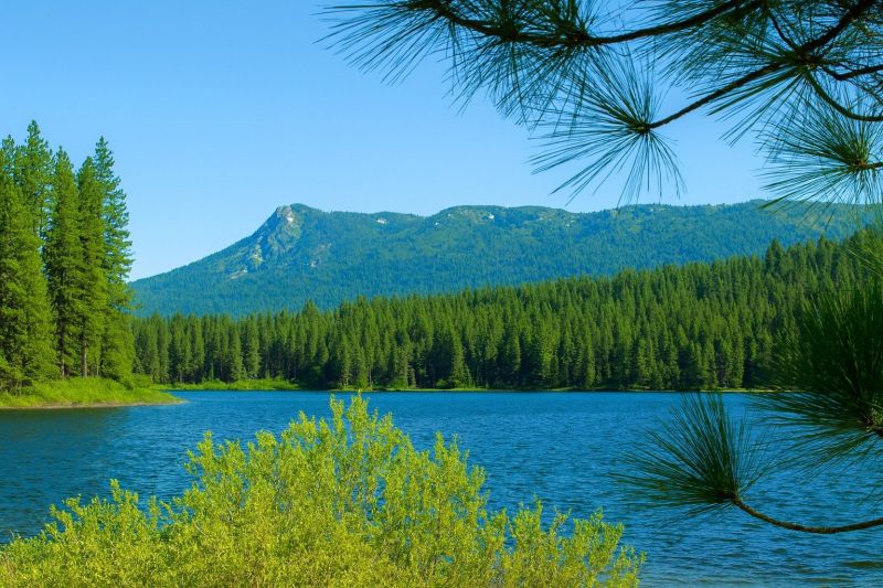 Local Shower Replacement in Antelope, CA