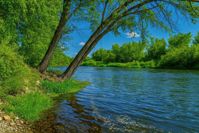 Local Shower Replacement in Middleton, ID