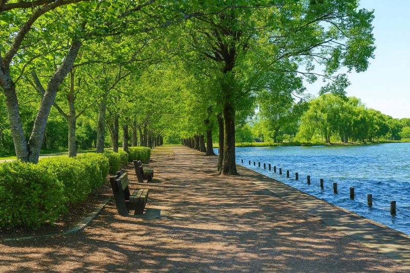 Local Shower Replacement in High Ridge, MO