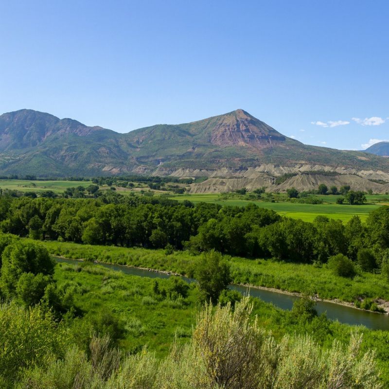 Local Walk In Shower Installation in Delta, CO