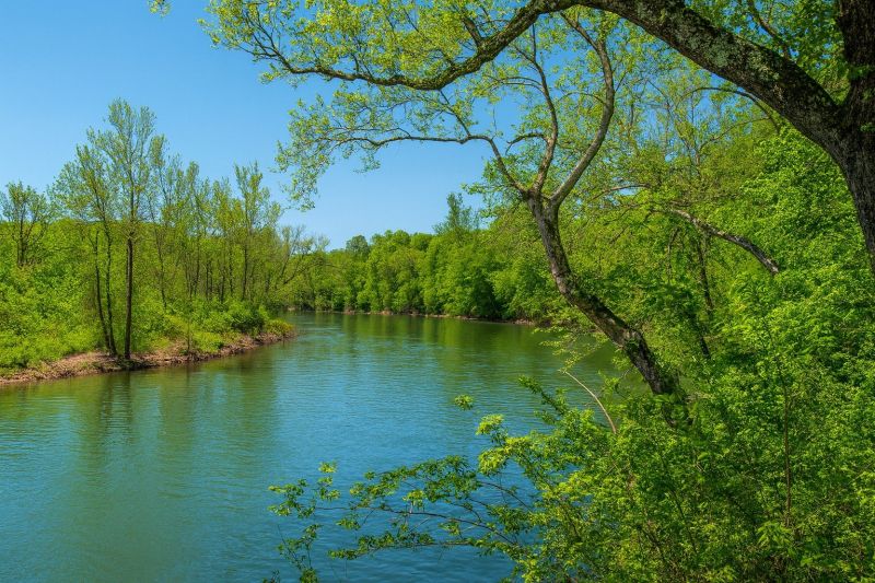 Local Walk In Shower Installation in Ozark, MO