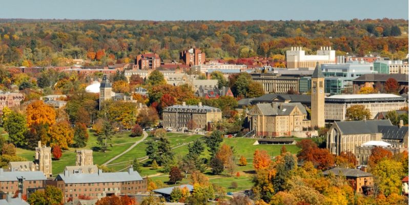 Local Walk In Shower Installation in Ithaca, NY