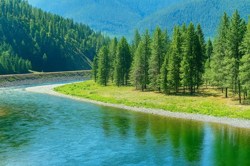Local Walk In Shower Installation in Columbia Falls, MT