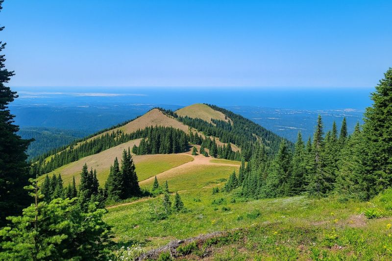 Local Walk In Shower Installation in Deer Park, WA